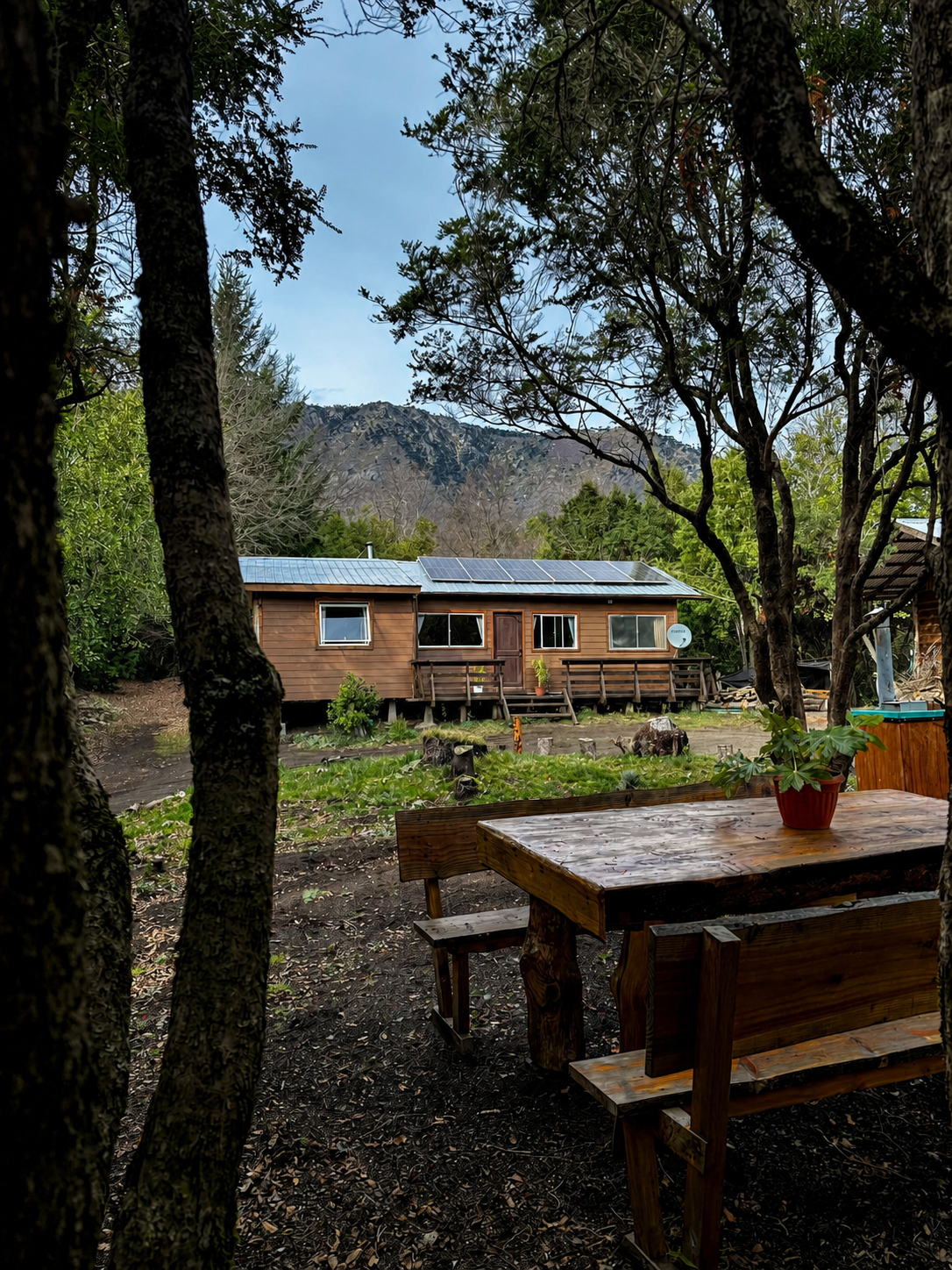 Entorno natural y cabaña de Amigos del Conguillío