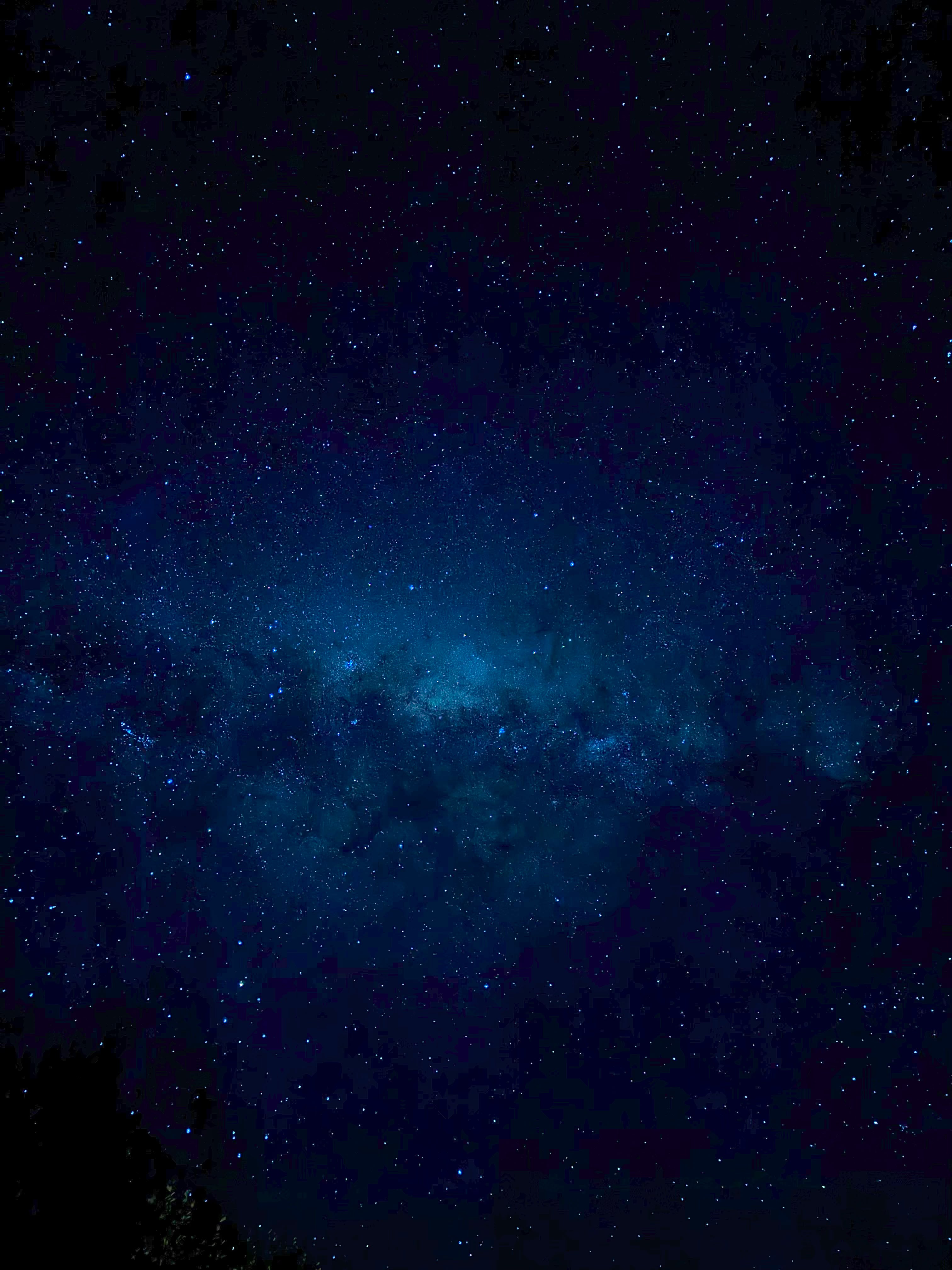 Cielo estrellado observado desde Conguillío