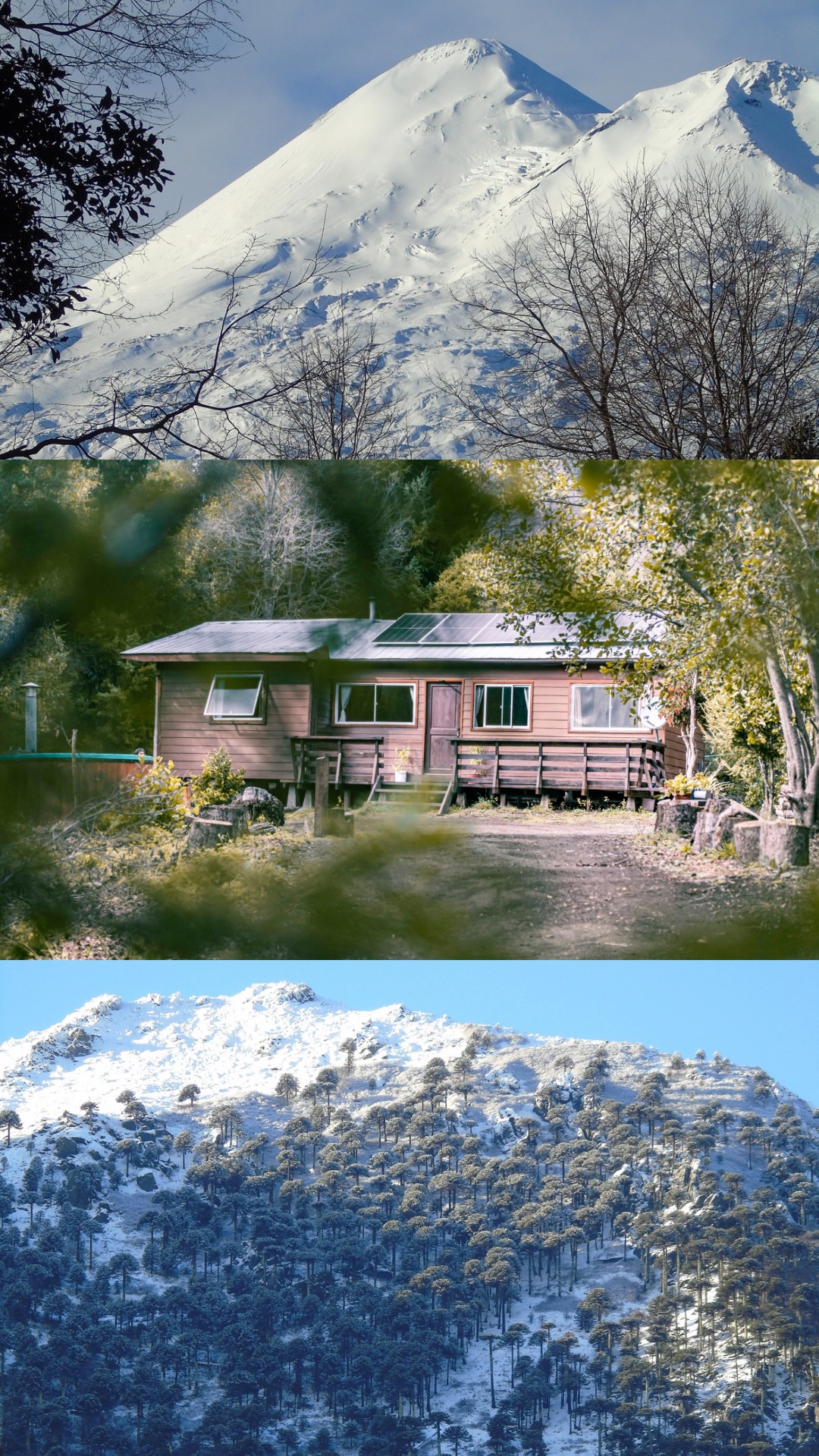 La cabaña y los paisajes nevados de Conguillío
