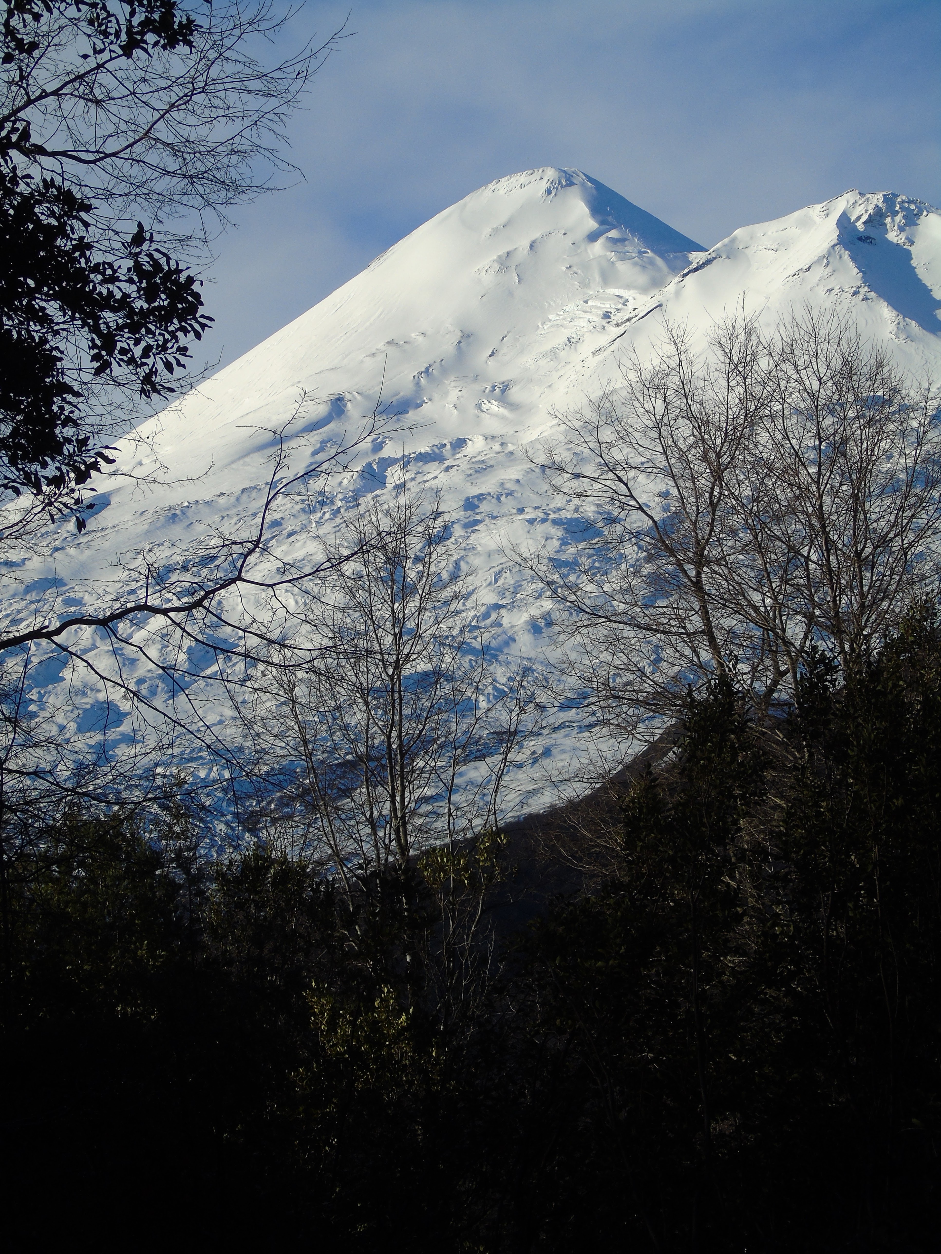 Volcán nevado visto desde el entorno de Amigos del Conguillío